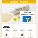올리브 | 리뷰 / 푸드올로지 지중해 올리브 레몬 샷 후기
