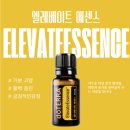 아로마홈힐러 - 용인시 수지구 고기로 395 | 도테라 엘리베이트 에센스 오일 - 효과 효능 한달후기 사용기