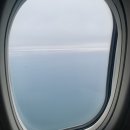 맨도롱하우스 민박 | 제주도3박4일 여행코스추천 제주도서우봉유채꽃 애월카페거리 금오름