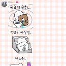 베개랑이불