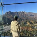 더엠브로시아 | 델피노 더 엠브로시아 오픈런 후기