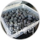 상촌농장 이미지