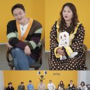 나는댕댕이다 이미지