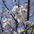 왕인박사기념관 이미지