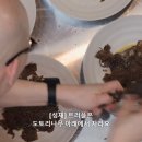 도토리국수