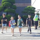 태안초등학교 - 태안군 | 태안초등학교