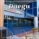 올림픽기념국민생활관 | 대구 자유수영 본동 올림픽기념관 올림픽기념국민생활관 수영장 후기 운영시간 가격