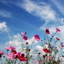 허수아비 이미지