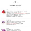 1004플라워 이미지