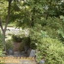 박미선 공인중개사사무소 이미지