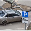 제일견인 이미지