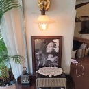 서해그린스포렉스 이미지