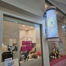 댕냥이살롱 | 무조건 여기다! 광안리 펫스테이션 &#39;하이디 펫살롱&#39;에서 울 애기들 레알 금손 미용 받고 심쿵한 후기