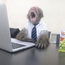 프림네일 | 블로그 버전2.0 reboot