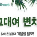 헤솔두피탈모