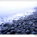 완도 정도리 구계등 이미지