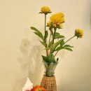 카페 미얌 이미지