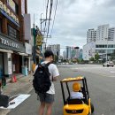 부산시민공원전동차 이미지