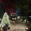 소포마을 | 망원카페 망원동디저트 맛집 우이그 티그레 라떼 푸딩 대만족 후기