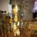 송근봉 나도하수오 석이버섯 판매 이미지