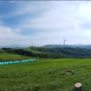 내리목장 이미지