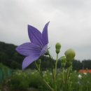 목석산방 이미지