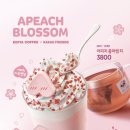 이디야대화