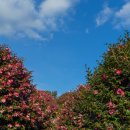 미남목장 이미지