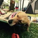 봉평마가리 캠핑장 이미지