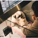 벤지동물병원 이미지