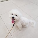 연경동물병원 이미지