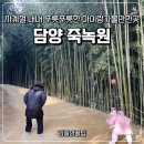 담양체육관 | 봄,여름,가을,겨울 사계절 내내 아이랑 가볼만한곳 담양 죽녹원
