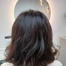 바비헤어 이미지