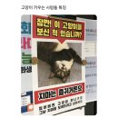 고양이 키우는 사람 특 이미지