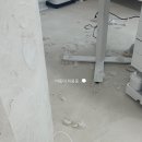 말랑말랭 이미지