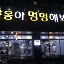 야옹아멍멍해봐 용인보정점 | 용인 언남동 야옹아 멍멍해봐