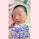 네임영어 | 내돈내산) 예스네임 작명 이용 후기