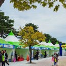 제주YWCA어린이집 | 안동 국제탈춤페스티벌 축제 기본정보 공연 주차 생생 후기
