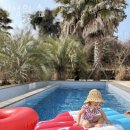 광령귤나무 | 제주도펜션 신성의 숲 제주도 가볼만한곳 제주공항근처 숙소 위치 가격 주변 관광지