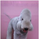 베니펫살롱 이미지