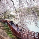 은파호수공원 9-5 이미지