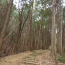 장승포시외버스터미널 이미지