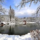 CNN 선정=한국의 비경으로 선정된 사계절 절경 명소 &#39;보문정&#39; 이미지