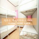 게스트하우스에버 이미지