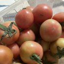 한라농산 이미지