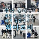 종합격투기하야로비