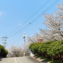 입점고분전시관 네이버블로그