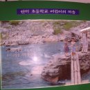 안미초등학교 이미지