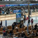 국내 코로나19 현황... 이미지