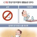 기관지염 급성 기관지염 만성기관지염 차이점 기관지염 원인 증상 치료방법 이미지